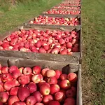 A La Ferme Apartment Vincy-Manoeuvre